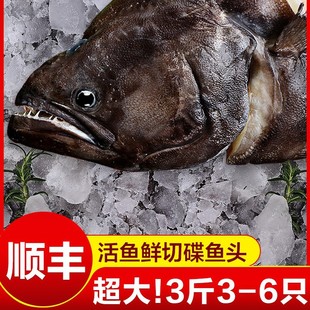 ���~�^����l�~�^�fƬ�~�^����r��Ŀ�~��Ƭ�~�^���~�^���r