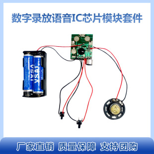 ΢�͔���䛷��Z��ICоƬģ�K�׼� ����C����P�����R��diy����