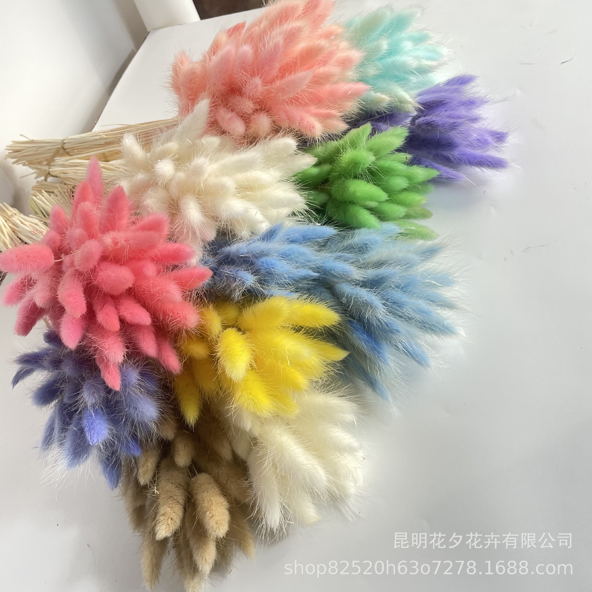 IMG_0359 - 副本.JPG