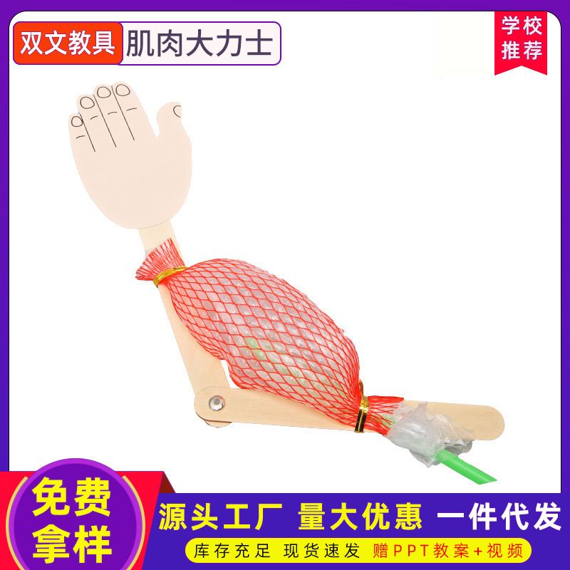 Ensamblaje de inteligencia hecho a mano DIY muscular Hércules Tecnología pequeña producción juguetes para niños ciencia física materiales experimentales