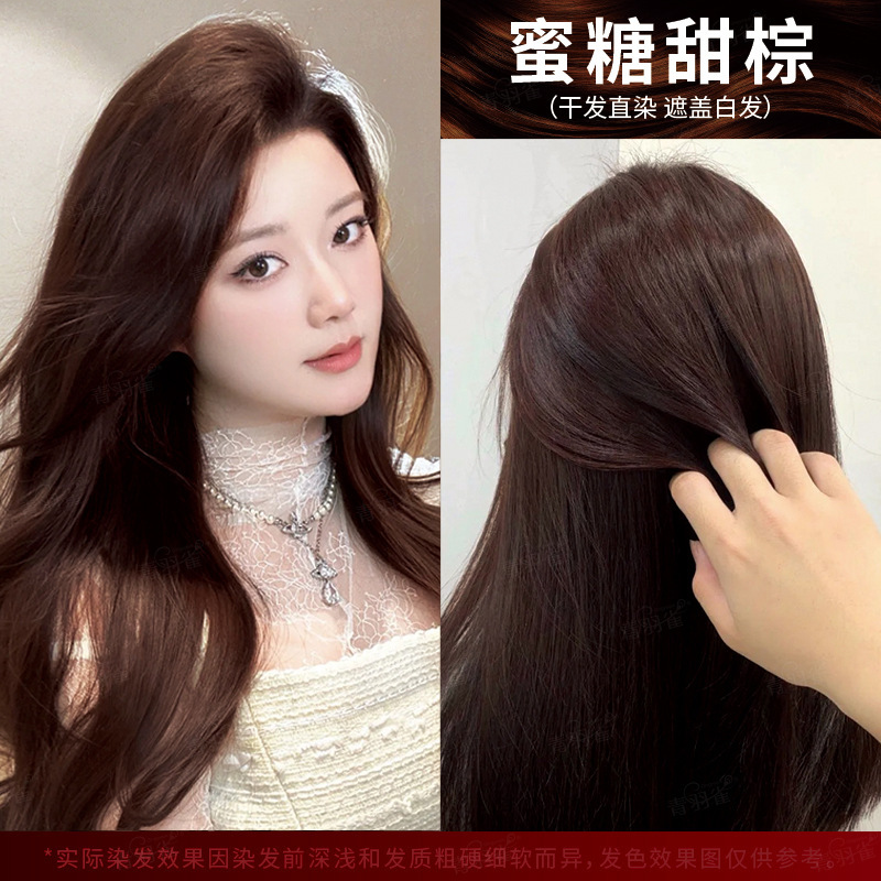 녹색 깃털 새 살롱 스위트 브라운