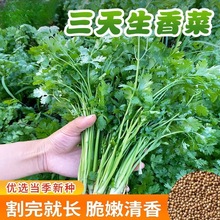 ˷Nͺ͟ƷNС~˷NܾݴNļNֲ߲