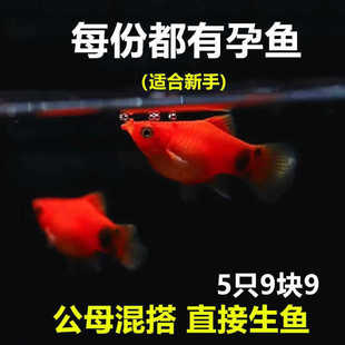 ����̥���~ֱ����С�~���ּtɫС�~Ƥ���~�������ȸ���B���̿�ħ