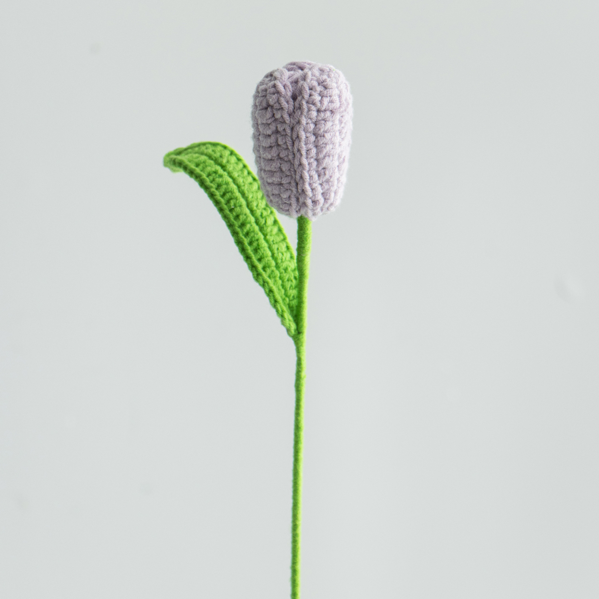 닫힌 튤립 연한 보라색