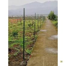 ?�����F�غ��������F�z�W���������U���P�T�F�o�ڗU�Bֳţ���