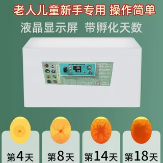 孵化器水床孵化机家用孵蛋器全自动控温小型孵化鸡鸭鹅芦丁鸡鸟类