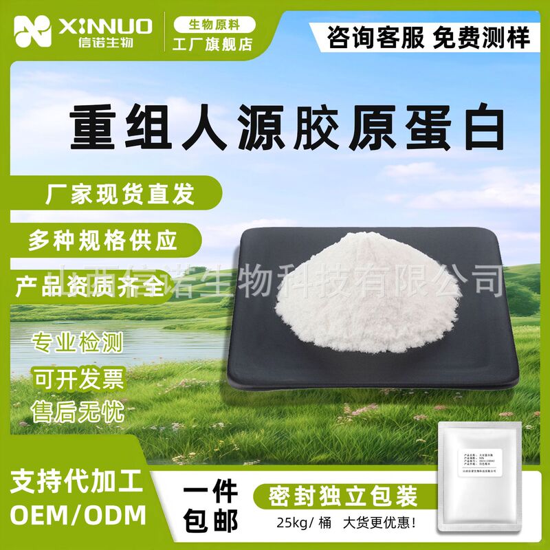 Recombinant Human Collagen Recombinant Type Iii Collagen 1 Gram/Bag Cosmetic Grade Xinnuo in Stock