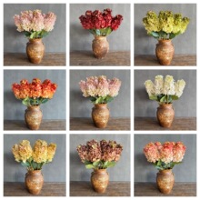 �¿��֦ ��������͹��ͮ��L���ͽ��򻨷��滨 INS�Ҿ��bٻ�