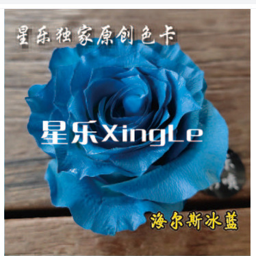 450ml agente de color de aerosol de flores al por mayor pintura en aerosol de secado rápido agente de teñido de rosas de color aerosol de color perlado floristería