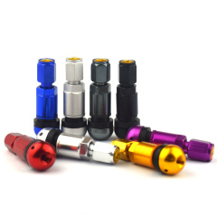Cup-in-525 Car Tire Accessories Tubeless Vacuum Aluminum Alloy Aluminum Valve Stem Valve