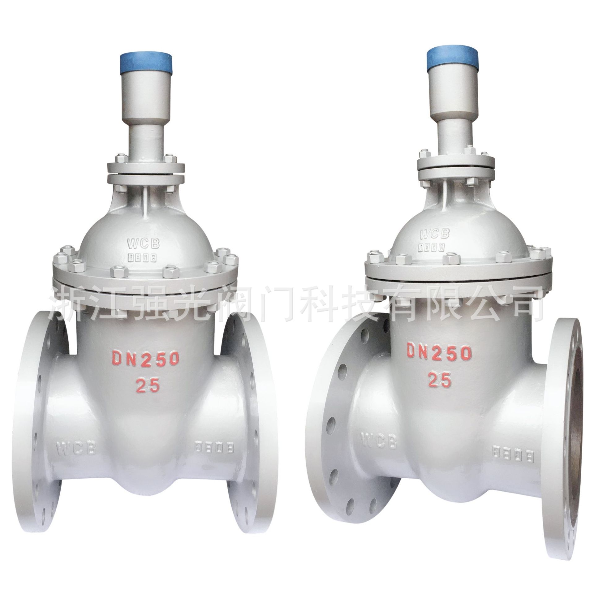 FDZ45H-16C,FDZ45H-25C,铸钢碳钢，防盗法兰闸阀，防盗锁闭闸阀