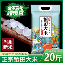 |׬FĥFlз׵С51020b