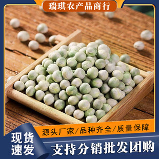 ��������㶹���r�����r���㶹���l��ѿ�ô��ඹ�G������