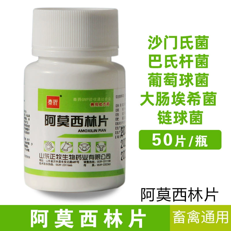 Таблетки амоксициллина, ветеринарное средство, лекарство для кур, уток, гусей, собак, кошек, кроликов, свиней, крупного рогатого скота, овец, таблетки, национальный стандарт, оригинальная оптовая коллекция