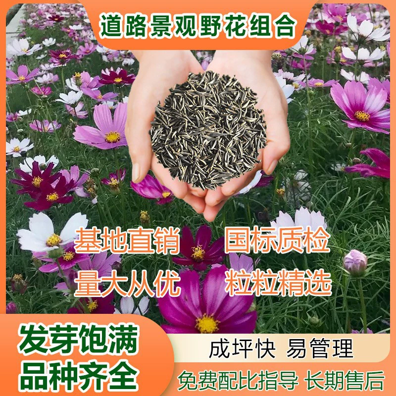 Смесь ландшафтных цветов для краеугольных клумб, всесезонная, с семенами, для экологического озеленения, для цветочных клумб