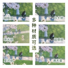 ����Ƭ��D���ƶ�������С�R����ӡ�C���p�����������ӡ����D��