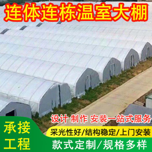 連棟大棚骨架鋼架批發 蔬菜花卉蔬果外遮陽薄膜溫室大棚配件全套