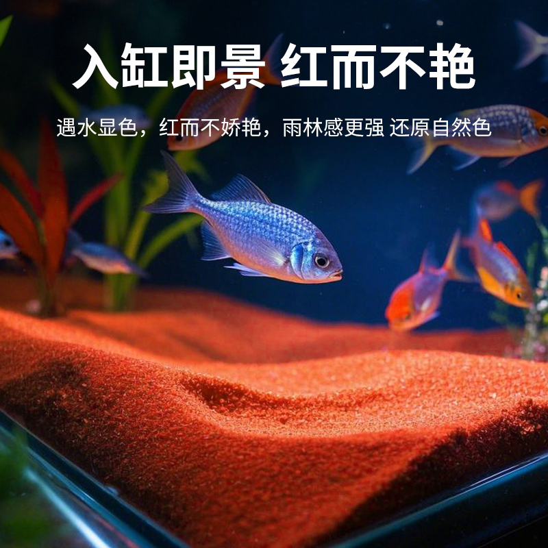 No-Wash Fine Rainforest Sand Fish Tank Landscaping Decorative Bottom Sand Aquatic Plants Turtle Tank Stream Stone South American Tank Aquarium