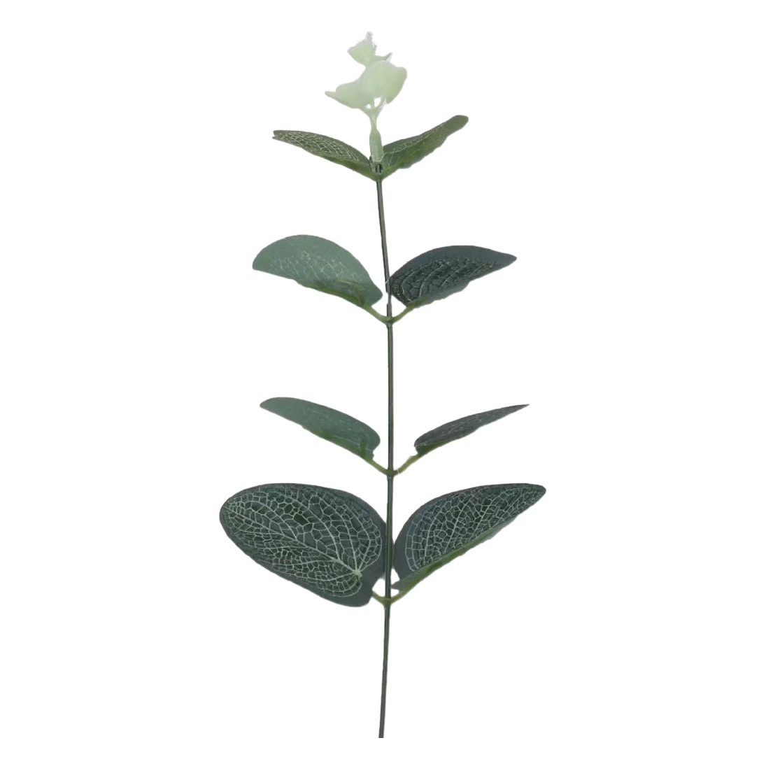 Моделирование одного денежного листа Лист эвкалипта ins Mori Свадебный цветок Организовать аксессуары Цветок Организовать декоративный лист