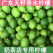 �ļ�̨���V�|�o�Ѻ���ˮ���ʘ���̩�������ʘ������Թ�����玧��