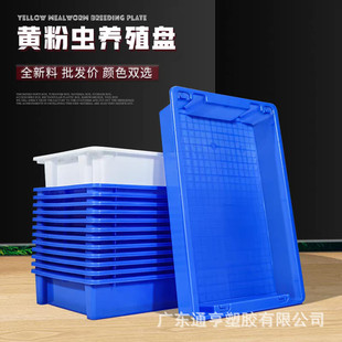 �eλ���D�� �������D���eλ�������Bֳ���P �����ռ{���z���ׯB��