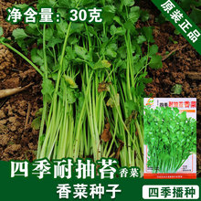 ��˷N������������ܾݴ�N���߲˷N�����l�˷N���Ѳ˷N�ӹ�˾