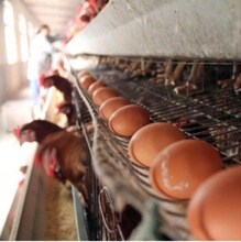 ���u�\ ����\�u�\ ��\�z�u�\ �A��ʽ�u�\�� �u�\�����Bֳ�u�\��