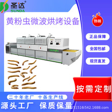 大麦虫膨化熟化机 黑水虻低温烘干机保留营养 黄粉虫微波烘烤设备