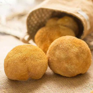 ��һ�����l���S��ֱ�N�����خa���^����؛���l�Bθ�Ҝ����˾���