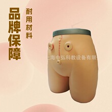 ZH-38高级瘘管造口术护理模型 瘘造口护理模型