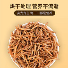 �˸���ʳ������ʳ�����ɰ˸�����������Ʒ���ӳ�ɰ˸���ʳ