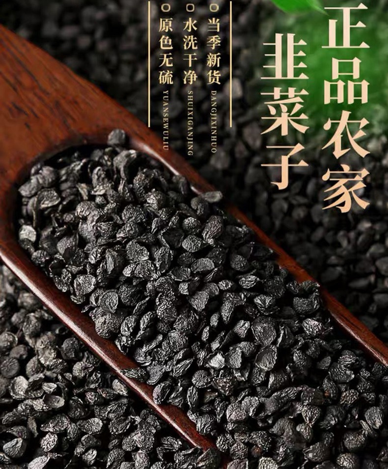 Jiu Cai Zi Chinese Chive Seeds Roasted Herbal Tea Ingredient 500g quality and texture