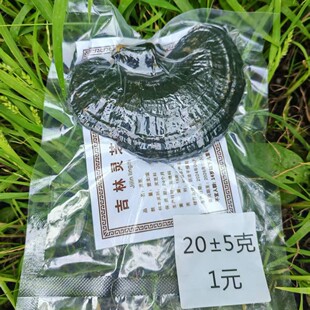 �L��ɽ�`֥�`֥��Ƭ�Y���`֥���ӷ�Ұ�����`֥�����ݾ��ϖ|���خa