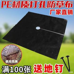 Factory Direct Sales Perforated Weed Control Fabric Gardening Ground Cloth 1.12m 1.5m Single Sheet Taiyukang