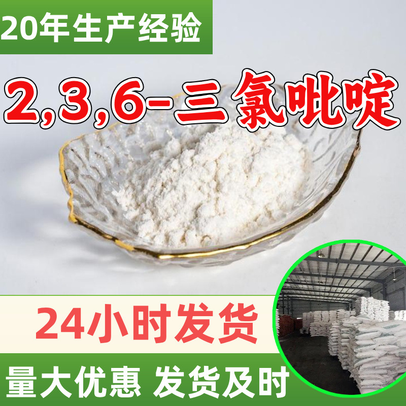 2,3,6-三氯吡啶 源头工厂工业级分析纯99%含量顾客是上帝上海山东