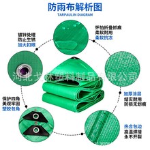 加厚双绿全新料苫布PE防水布塑料防晒遮阳户外棚布 防雨篷布