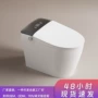 自动一体式即热家用坐便器