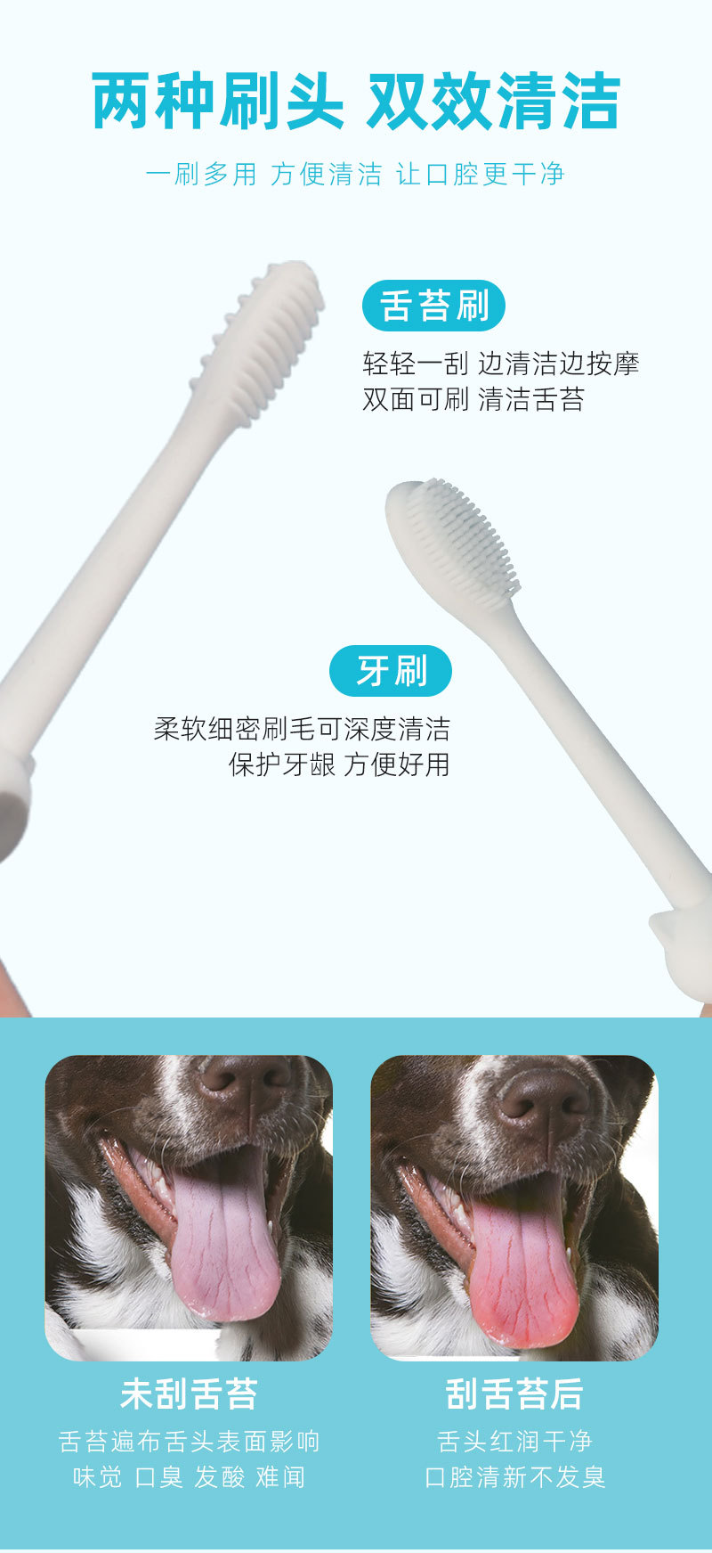 宠物刷牙.jpg