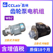 WBZ-100齿轮油泵LWBZ-25 WBZ2-16/40/50/63液压齿轮泵电机组2.2KW