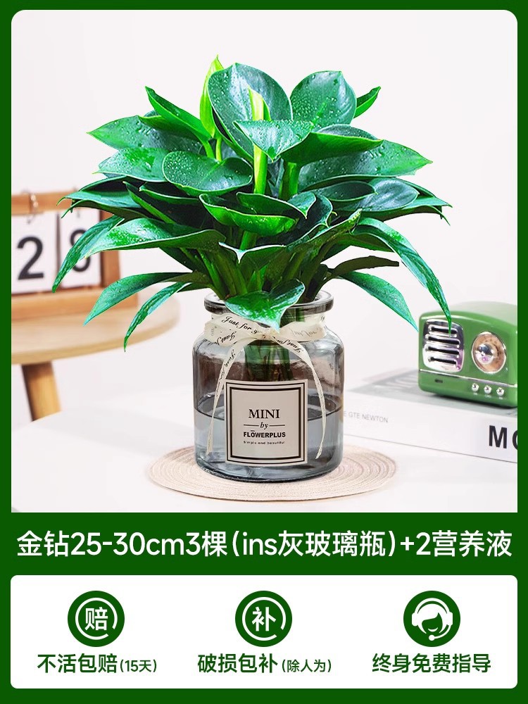 금 다이아몬드 3개(회색 유리병 내) + 크리스탈 머드 + 영양액 2개