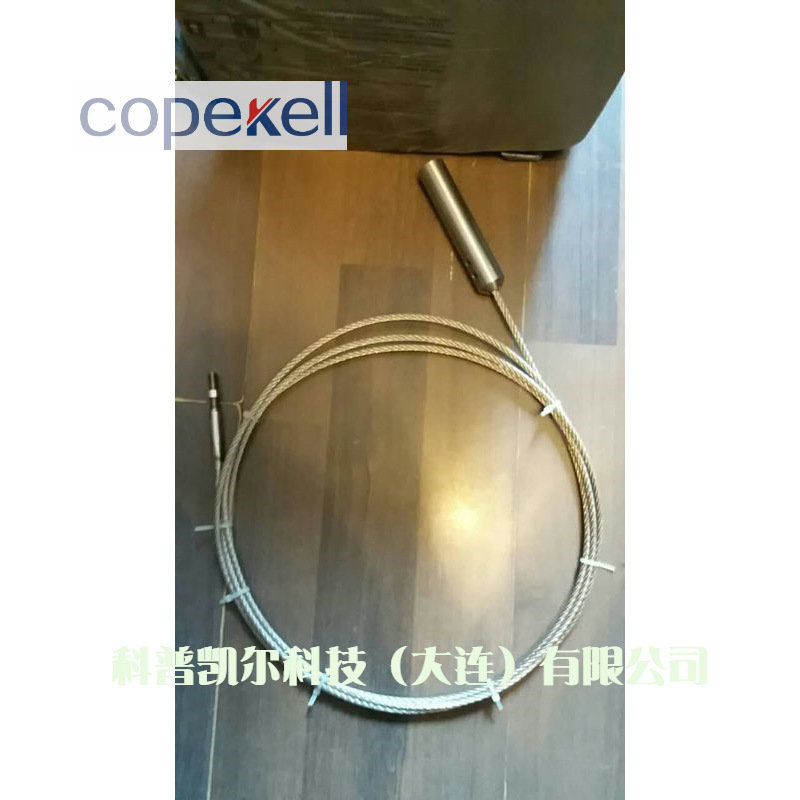 科隆雷达物位计OPTIFLEX1300C选型报价  同轴液位测量 正品