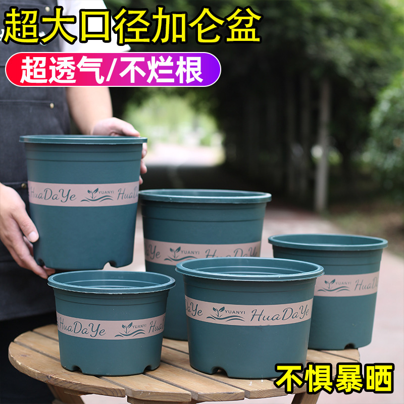 Plastic Resin Flower Pot for Succulents, Green Radish, and Roses, Gallon-Sized, Thickened, Breathable, Durable for Balcony Planting, Tall Model for Home Use Plastic Resin Flower Pot for Succulents, Green Radish, and Roses, Gallon-Sized, Thickened, Breathable, Durable for Balcony Planting, Tall Model for Home Use