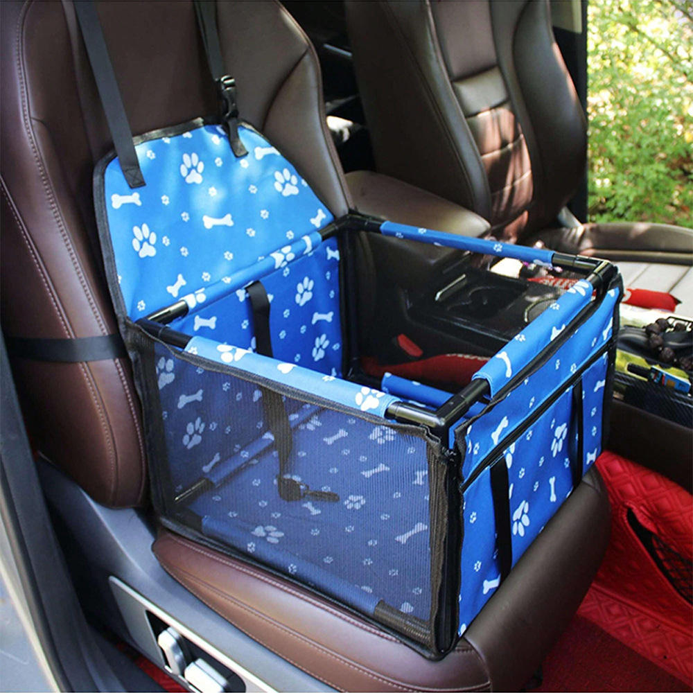 블루 플라워 프레임 모델