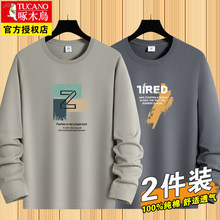 2����ľ�B���|�L��T����ʿ2025�¿����e���������ٴ������