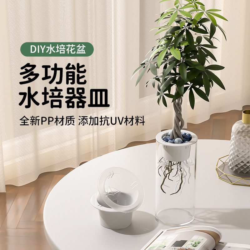 プロの植木鉢と花瓶の水耕植栽バスケットは 8.5- 12cm 口径に適応し、水耕栽培に適したオリジナルファースト製品です。|undefined