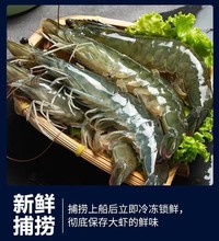 青岛大虾超大海虾鲜活冷冻白虾对虾大虾新鲜海捕大虾海鲜非基围虾