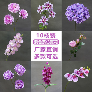 ��ɫϵ��cϵ�з��滨�Ļ�Y���̈������b���·���廨���Ż�ˇ