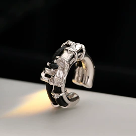 戒指;耳夹;耳钉