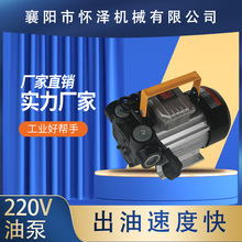 220VЯʽ綯ͳͱ50-60L/ӸЧٶȿ