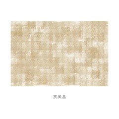 輕奢家用簡約仿羊絨地毯腳墊客廳沙發茶几地毯大面積臥室地墊